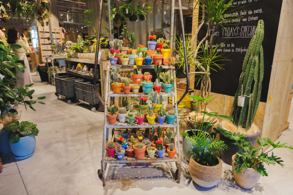 観葉植物や多肉植物のラインナップも充実。